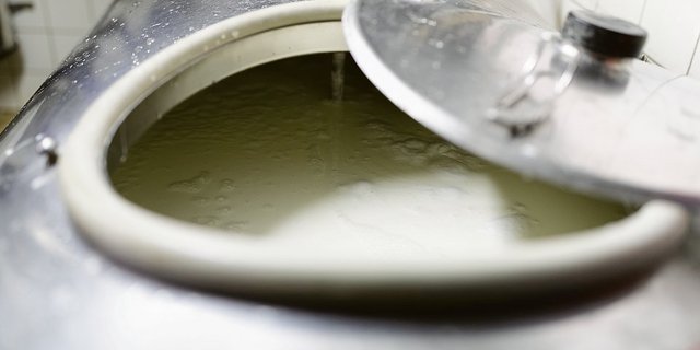 Das weisse Gold? Wenn nicht alles täuscht, nimmt die Wertschätzung für den Rohstoff Milch vielerorts derzeit zu. Bleibt zu hoffen, dass dies weiter positive Preiseffekte zur Folge hat.(Bild Keystone)