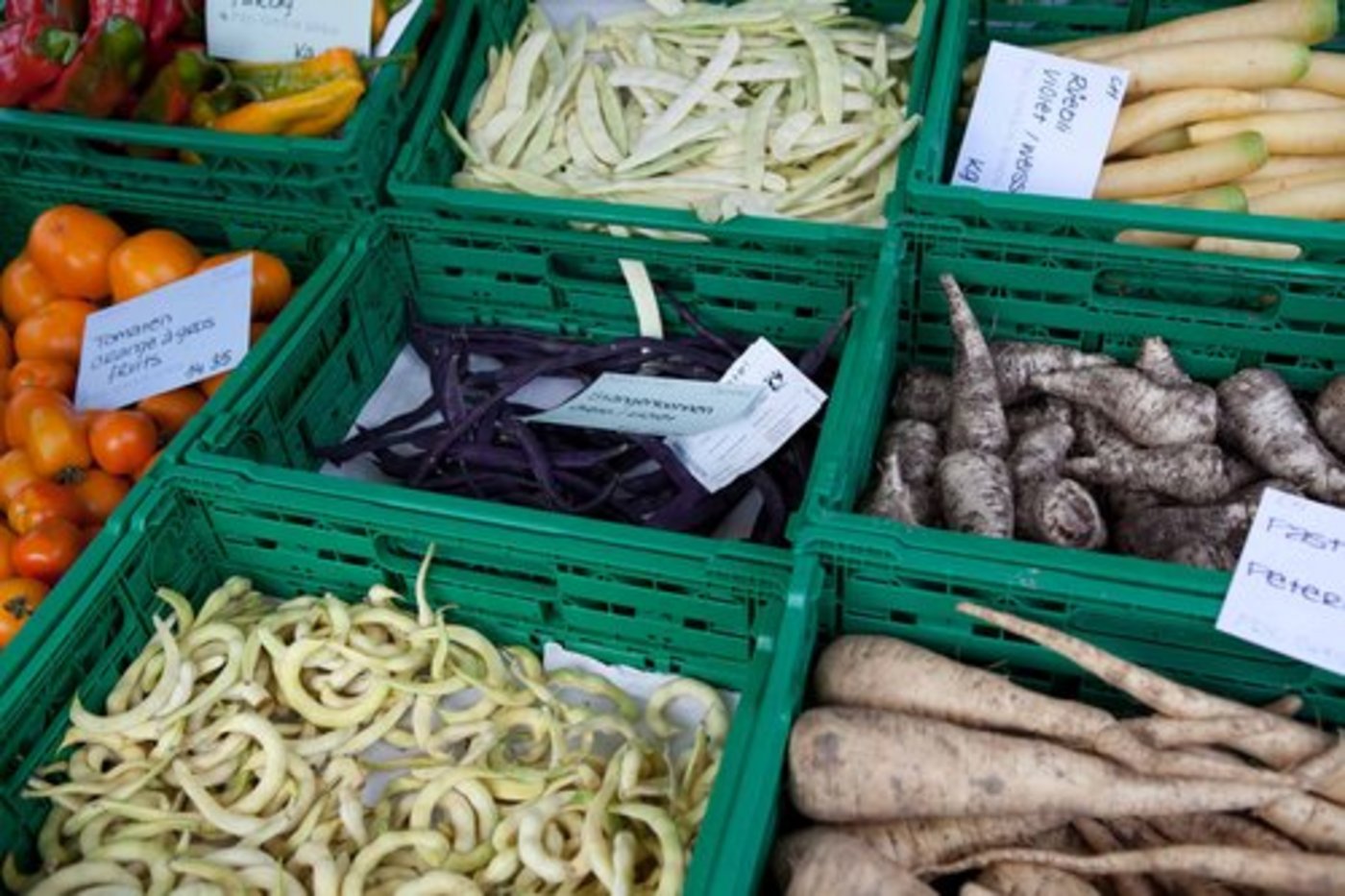 Vielfalt statt Einheitsbrei: Pro Specie Rara setzt sich für den Erhalt alter Sorten ein. (Bild: zVg)