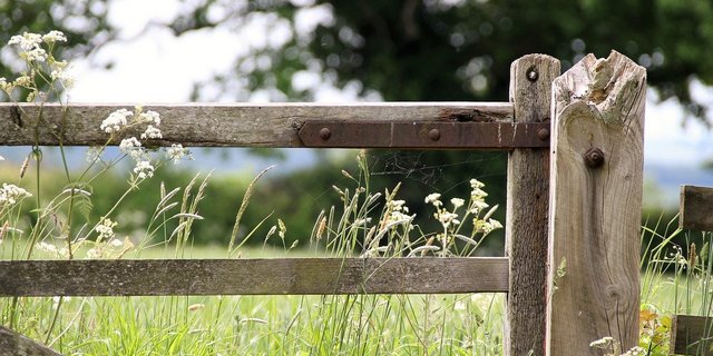 Zäune muss man keine errichten, aber den angepassten Sicherheitsabstand von 1,5 Metern einhalten. (Bild Pixabay)