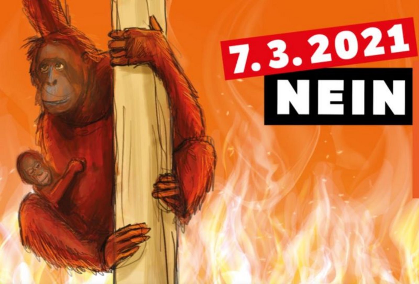 Der Verein «Stop Palmöl» besteht aus 16 Organisationen. (Screenshot/stop-palmoel.ch)