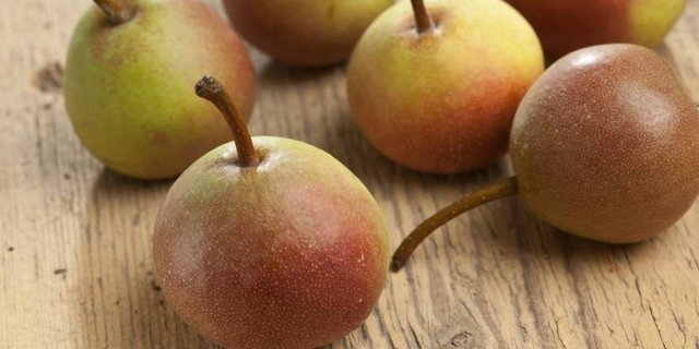 Klein, rund und mit AOP-Label: Büschelibrinen sind etwas Besonderes. (Bild Terroir Fribourg)