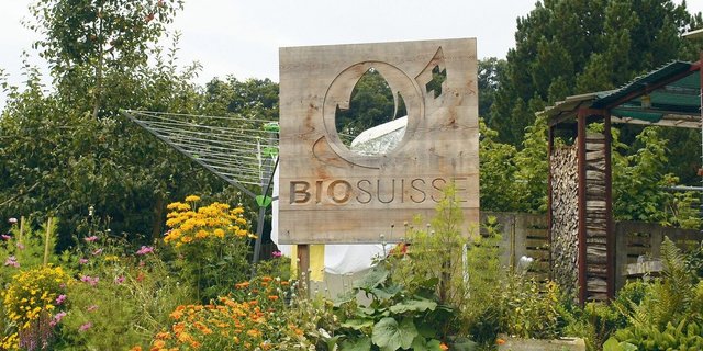 Zwang zur Knospe: Berner SP-Politiker wollen einen Hof gegen den Willen des Bauern umstellen.