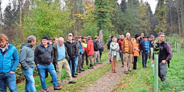 Revierförster Marc Mäder (rechts) erzählt den Teilnehmenden, warum die Burgergemeinde auf dieser Waldparzelle auf die Eiche gesetzt hat. Vorher standen hier Eschen, die dem Eschentriebsterben zum Opfer fielen. 