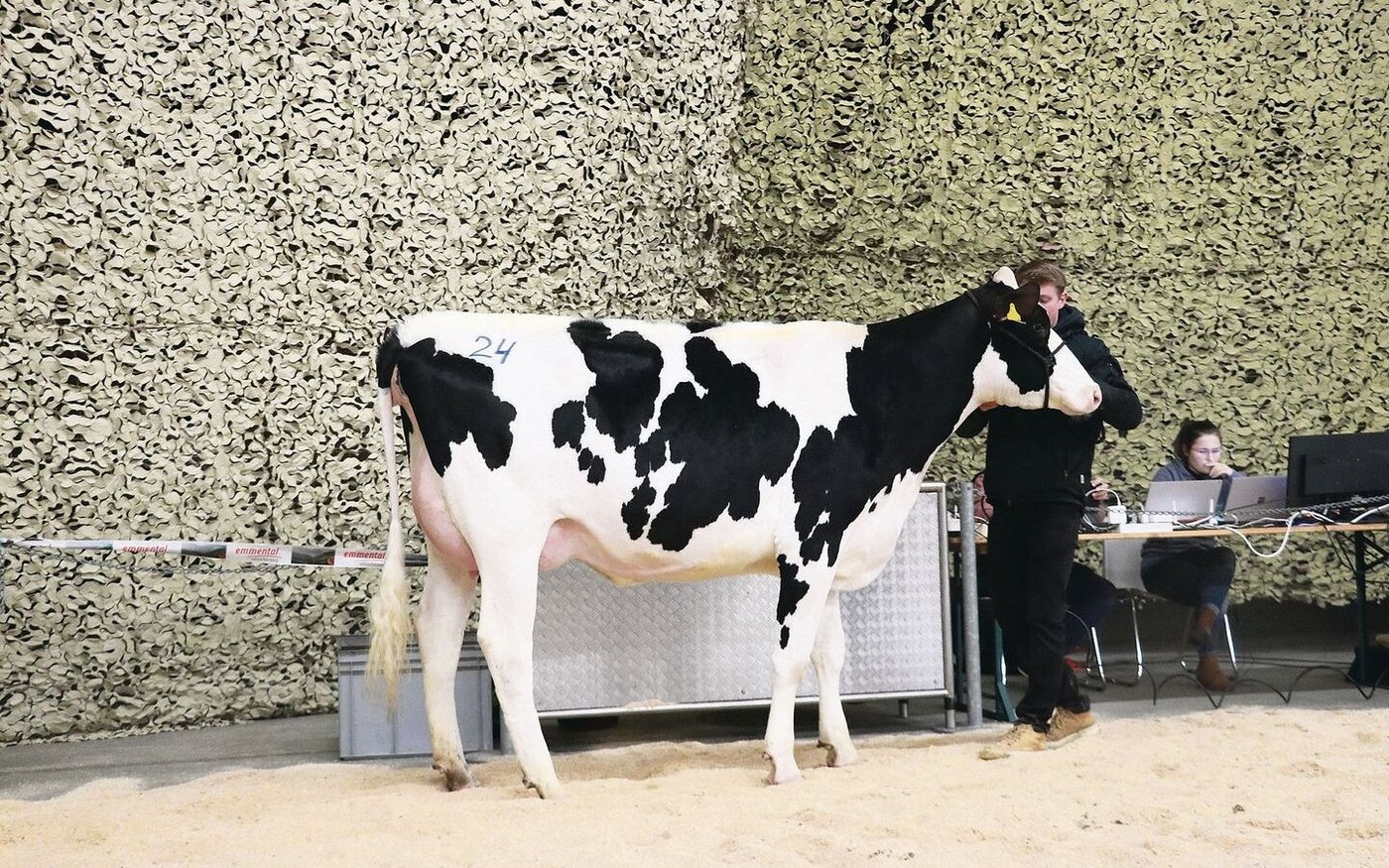 Stefan Käser verkaufte etliche Tiere im Elitesegment, seine Kingpin-Tochter Lisa galt 5750 Franken. 