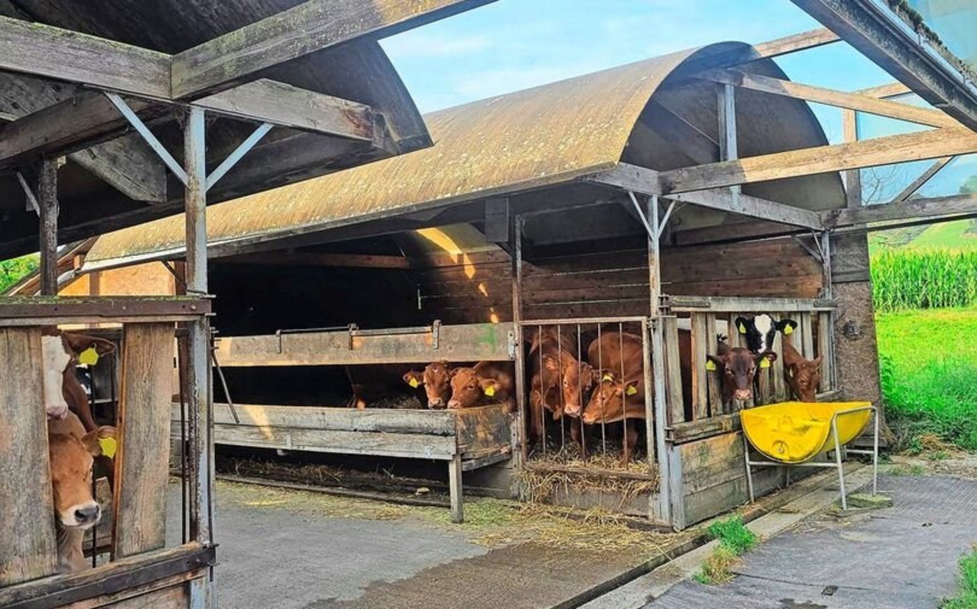 Selfmade-Unterstände aus alten Silos bieten den Fressern viel Frischluft, was gut für den Keimdruck ist.