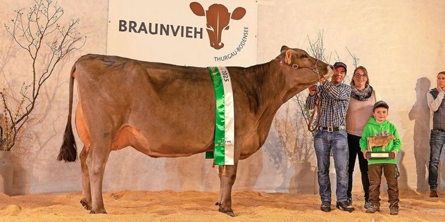 Die Siegerkuh, Dixi von Beat Lenzlinger aus Au TG. Dixi überzeugte unter anderem mit ihrem langen und breiten Becken, sowie ihrem hoch angesetzten, breiten Euter. 