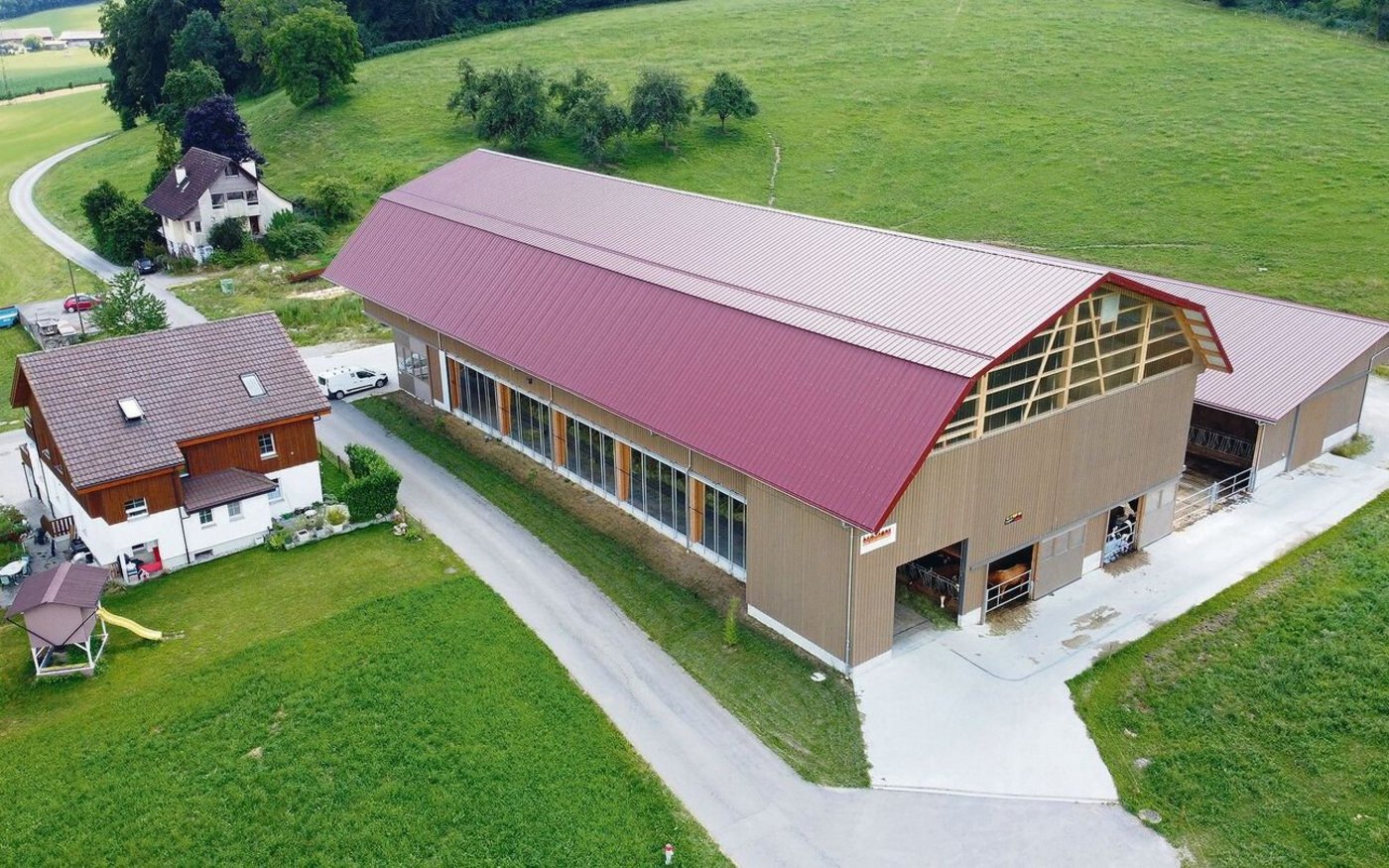 Der Stall liegt umgeben von Wiesen. So haben die Kühe auch mit Melkroboter jederzeit Zugang zur Weide.