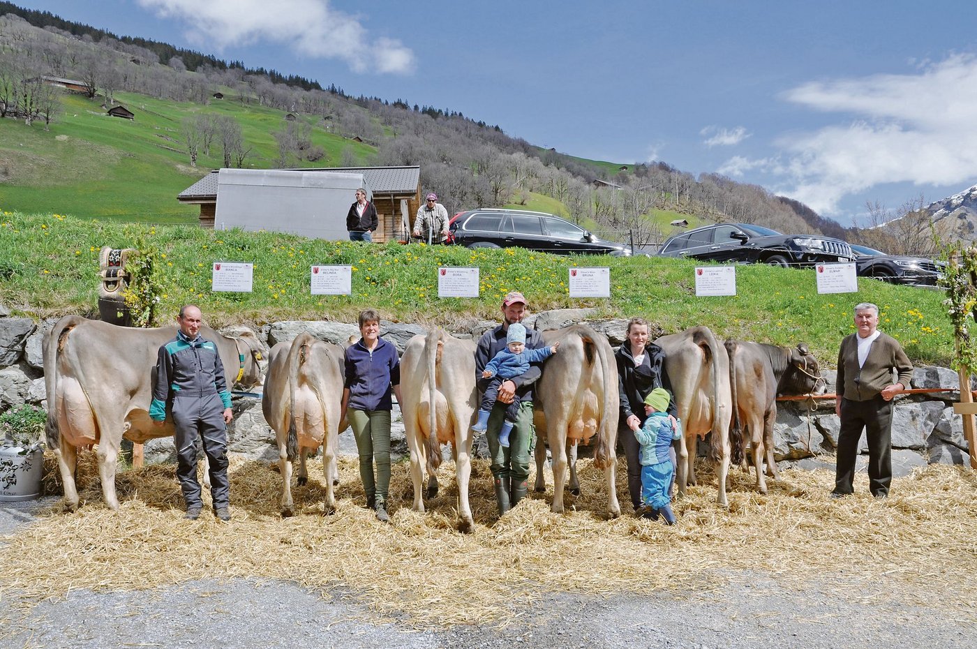 Diese erstklassige A-Zuchtfamilie mit Stammkuh Bianca von Familie Elmer-Elmer wurde mit 92 Punkten bewertet. (Bilder Barbara Bäuerle-Rhyner)