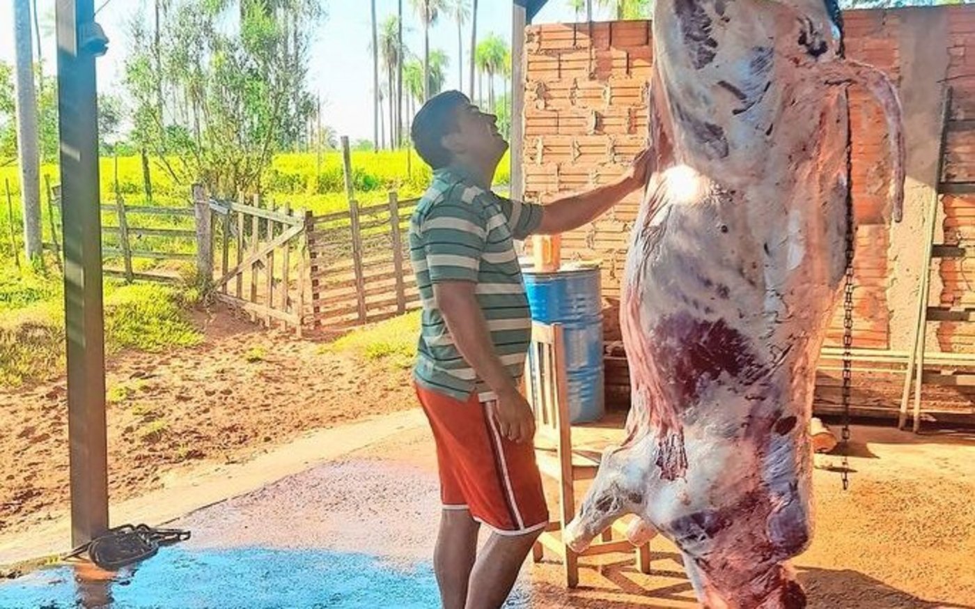 Metzgete in Paraguay: Auf dem Betrieb wird geschlachet, das Fleisch wird direkt verkauft.
