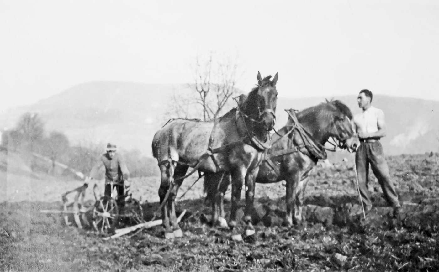 Arbeiten mit Pferden will gelernt sein. Insbesondere, wenn man in die 3. Klasse geht und noch nie eins geführt hat. (Bild Grieb)