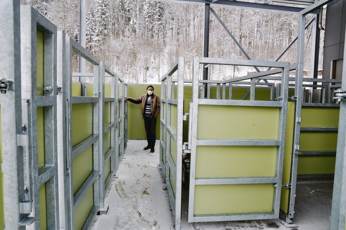 Andre Siegenthaler, Vorstandsmitglied der Fleischgenossenschaft, zeigt die grosszügig ausgelegten Warteboxen für die Tiere.(Bilder Barbara Bäuerle-Rhyner)