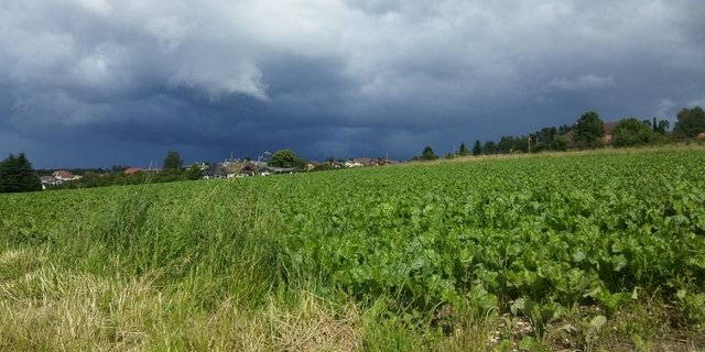 Die Schweizer Hagel-Versicherung feiert 2020 ihr 140-jähriges Bestehen. (Symbolbild lid)