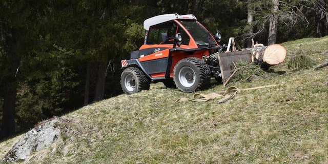Beim Holzen kommt es immer wieder zu tödlichen Unfällen. (Bild Kapo Graubünden)
