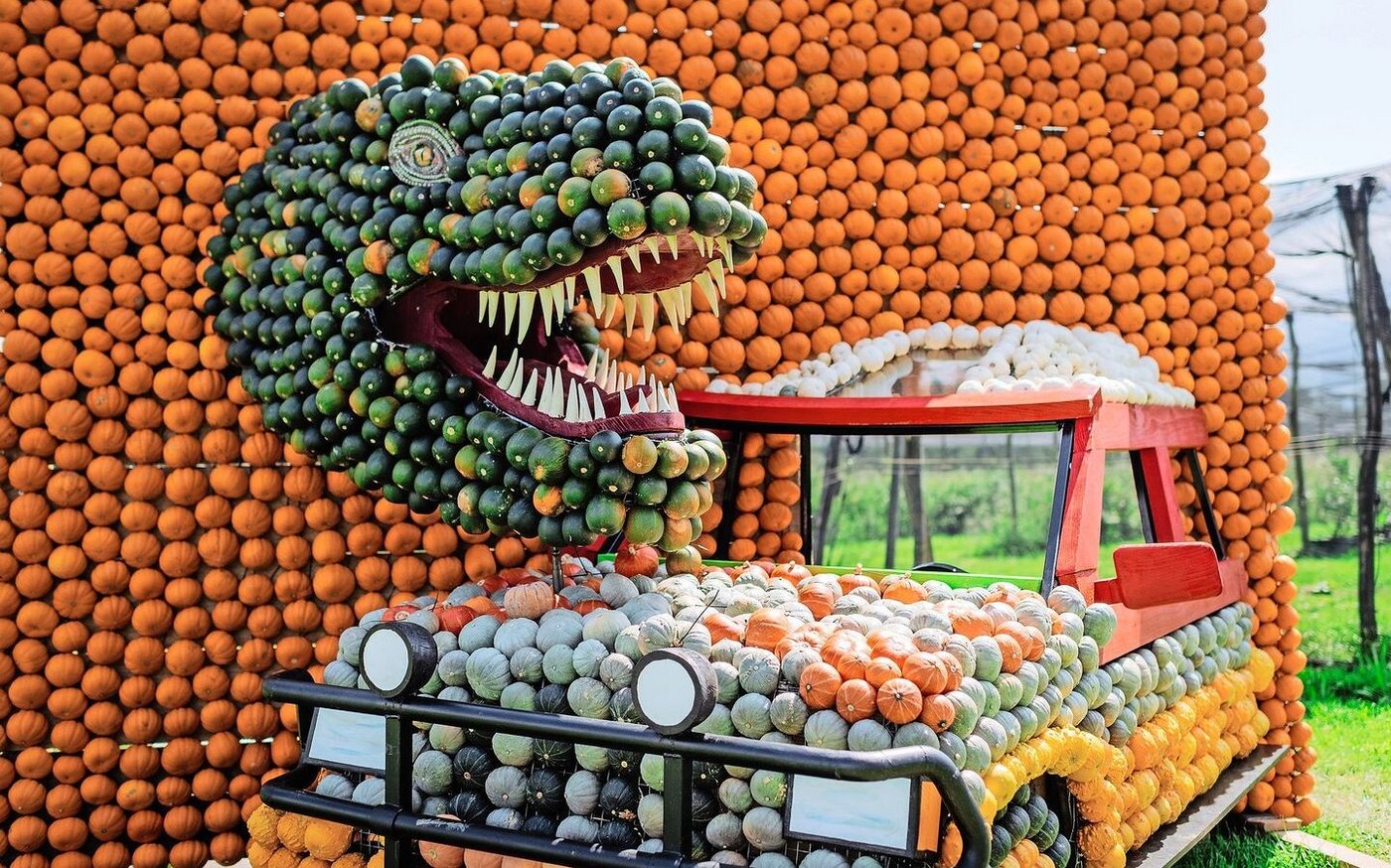 Die alljährliche Kürbisausstellung hat die Jucker Farm bekannt gemacht. An ihrem Anfang stand ein Zufall bzw. eine überraschend gute Ernte.