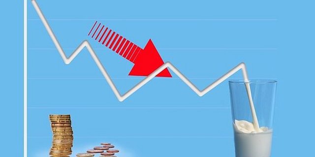 Die globalen Milchpreise sind unter Druck. (Bild Age)