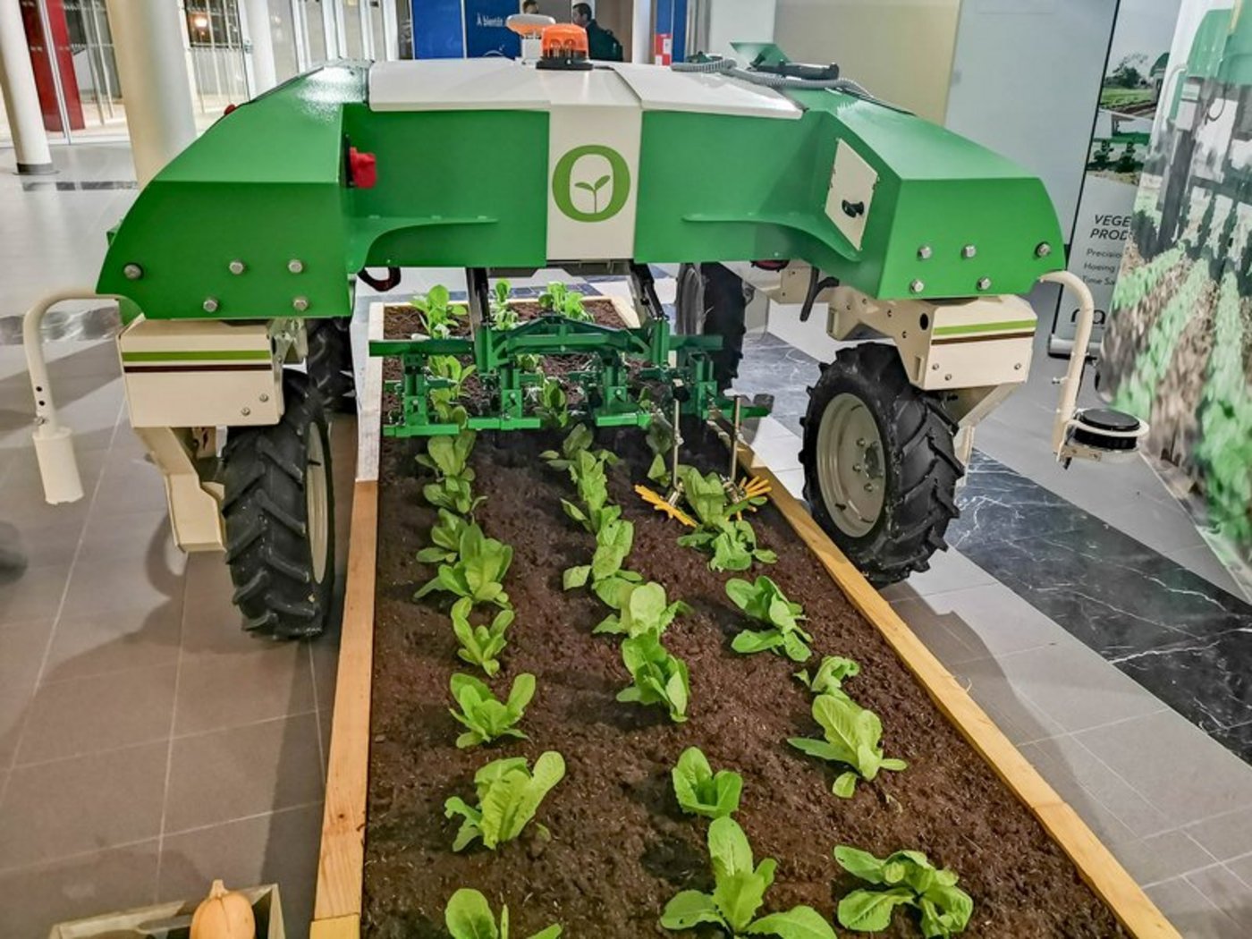 Tausendsassa Agrarroboter: Sie analysieren, überwachen, hacken, spritzen und ernten. (David Eppenberger/LID) 