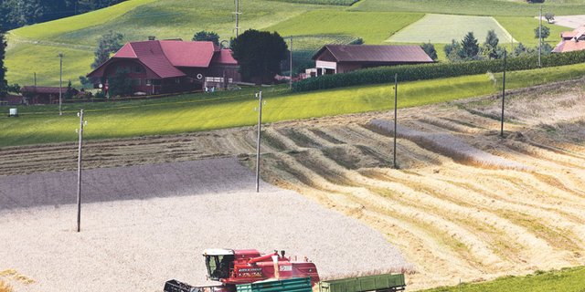 Bessere Aussichten für produzierende Landwirtschaft? Beim Bund scheint die klassische landwirtschaftliche Leistung höher im Kurs zu sein, als auch schon. (Bild Keystone)