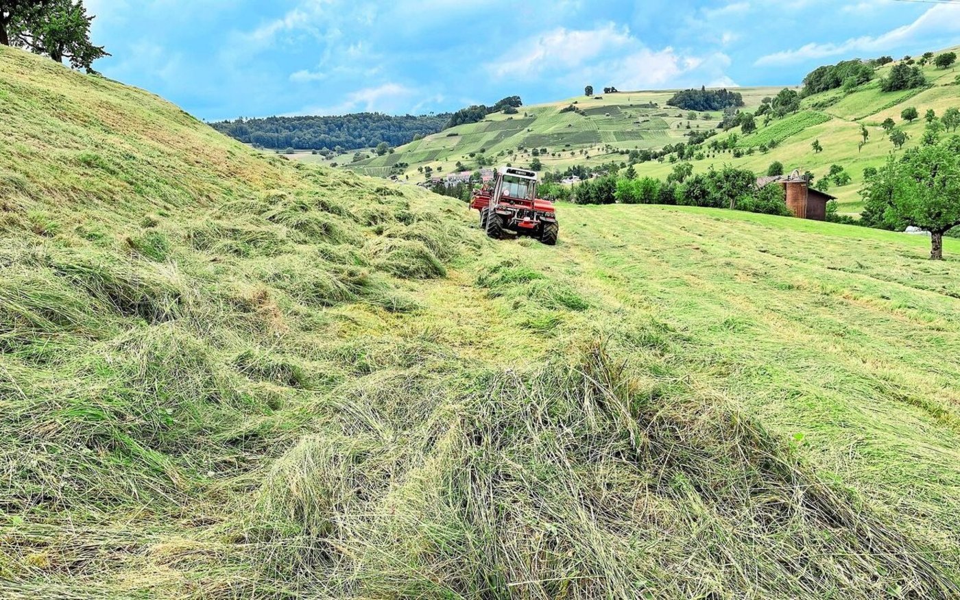 Grosse Mengen an altem Futter. Die nassen Bodenverhältnisse werden die Arbeit noch zusätzlich erschweren. Bild von Anfang Woche aus dem Fricktal.