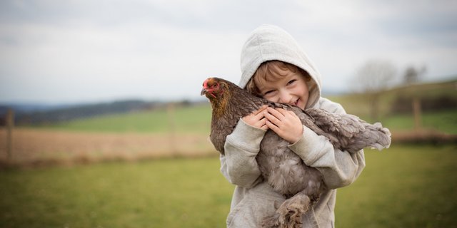 Hautnah die Landwirtschaft erleben wird beim Projekt Stallvisite möglich. (Bild landwirtschaft.ch, Beryll Decurtins)