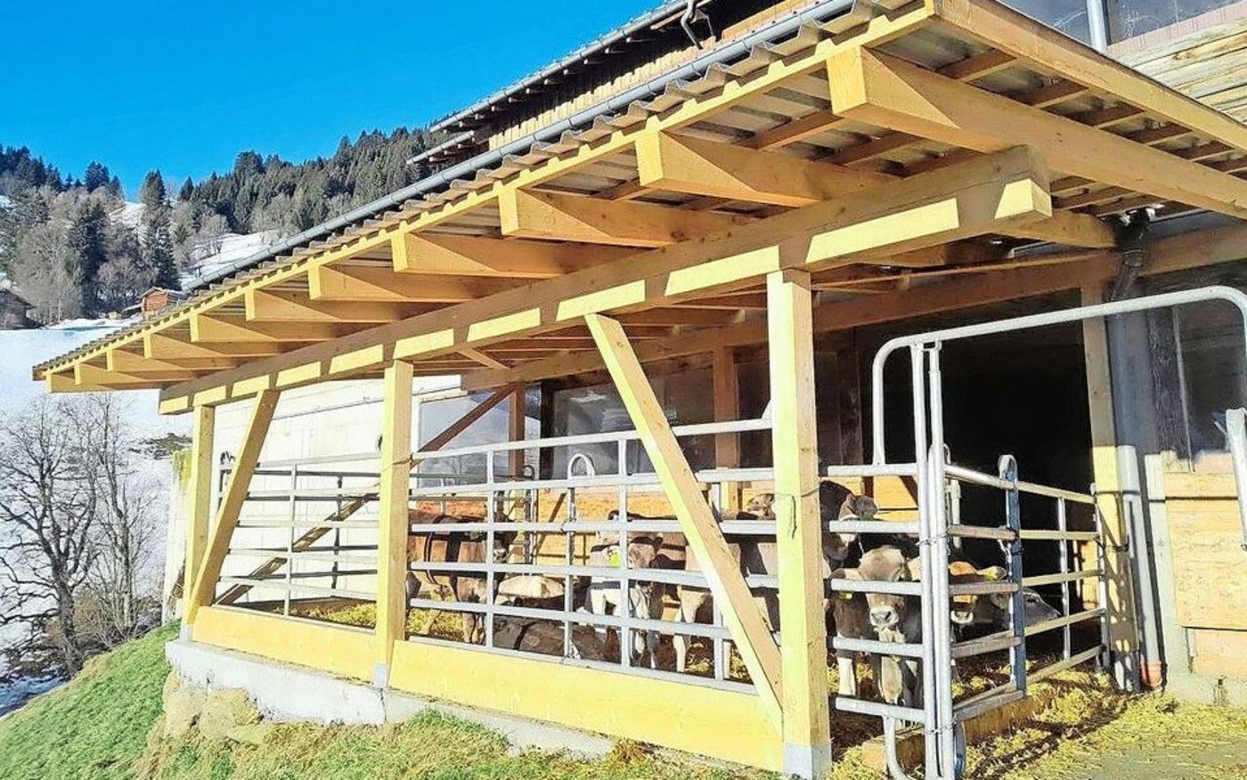 Statt in speziell konzipierten Freiluftställen werden die Tiere im Folgeprojekt im bereits bestehenden Maststall gehalten. Der einzige Unterschied: Der Auslauf ist überdacht und eingestreut.