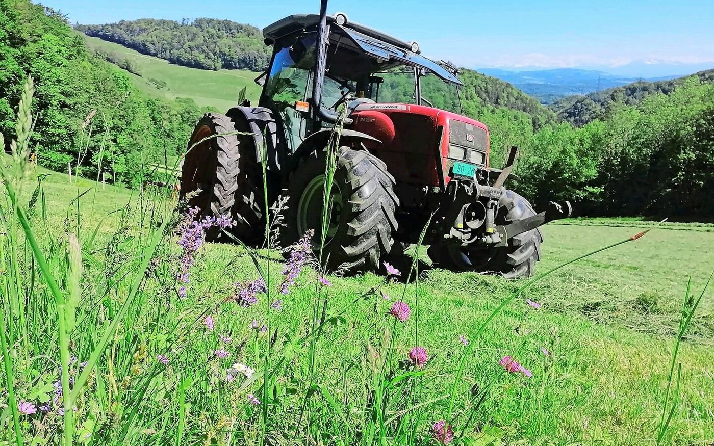 Der Berghof ist umgeben von steilen Hängen.  