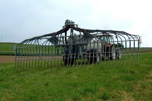 Massnahmenplan Ammoniak: Im Thurgau wird der Schleppschlauch obligatorisch Der Schleppschlauch wird im Kanton Thurgau ab dem 1. Januar 2022 Pflicht. (Bild: BauZ)