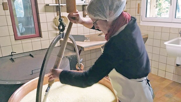 Rahel Scheider aus Dürnten ZH macht ihr 3. Lehrjahr auf dem Betrieb Ferme biologique Combe d’Humbert in Sonvilier BE. (Bild zVg)