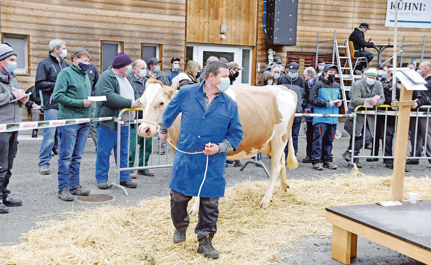 Die sehr gut ausgewiesene Bio-SF-Kuh Killian Nelli von Bernhard Wüthrich aus Trub war mit 4400 Franken das teuerste Tier an der Auktion. (Bilder Peter Fankhauser)