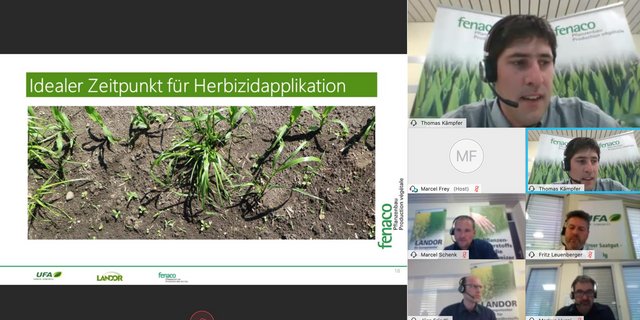 Die Fenaco-Landi-Gruppe musste aufgrund der Corona-Krise ihre traditionellen Flurbegehungen absagen. Dafür fand online ein Webinar statt mit den Beratern der Fenaco, Landor und UFA-Samen. (Screenshot Katrin Erfurt)