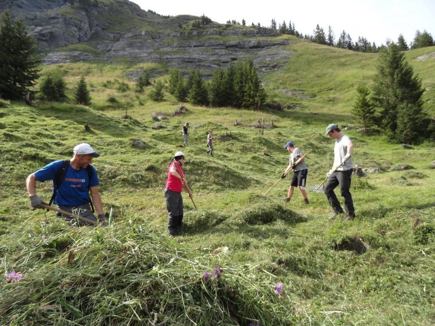 Die Aktivitäten des Bergwaldprojekts umfassen Arbeiten im Schutzwald und in der Kulturlandschaft. Es sind teilweise auch mehrwöchige Einsätze möglich. (Bild Bergwaldprojekt)