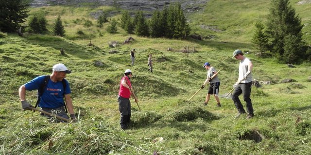 Die Aktivitäten des Bergwaldprojekts umfassen Arbeiten im Schutzwald und in der Kulturlandschaft. Es sind teilweise auch mehrwöchige Einsätze möglich. (Bild Bergwaldprojekt)