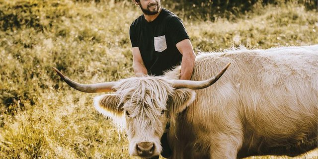 Die weisse Highland Cattle Kuh Barbara hat Jürg Adanks Herz auf Anhieb erobert. (Bild zVg)