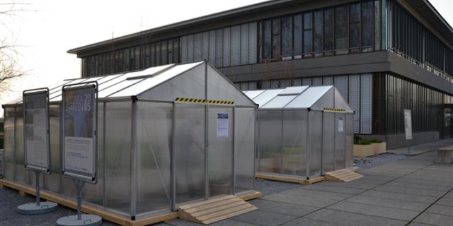 Auf dem Areal der Hochschule für Technik in Rapperswil stehen zwei Gewächshäuser, in denen man zwei verschiedene Klimaszenarien für das Jahr 2085 erleben kann. (Bilder jsc) 