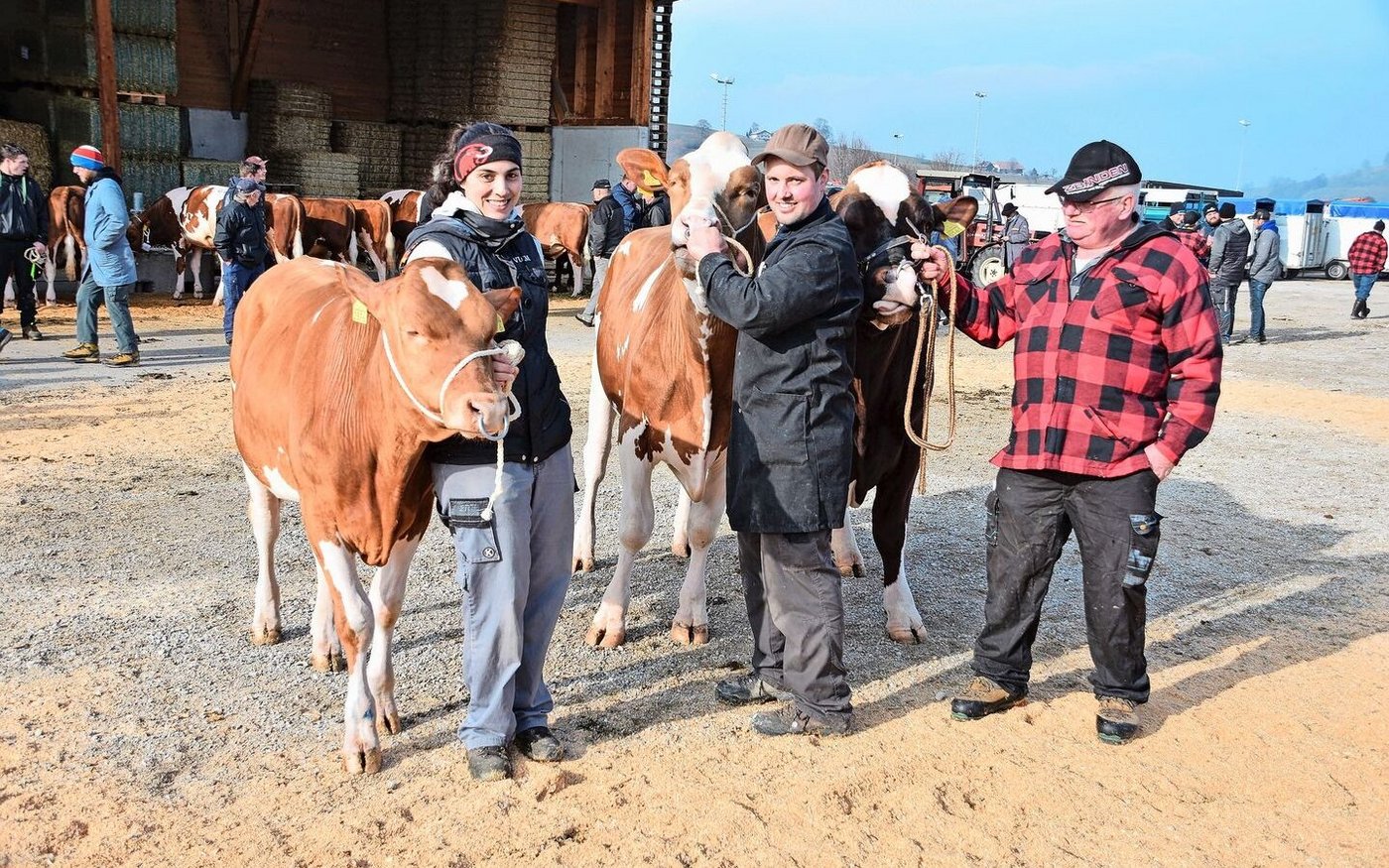 Die Misterwahl (v. l. n. r.): Mention: Beyeler`s Sam Trafic; Mister: Aslan Leonardo, und der Vize: Beyeler`s Quendolin Sorento.   