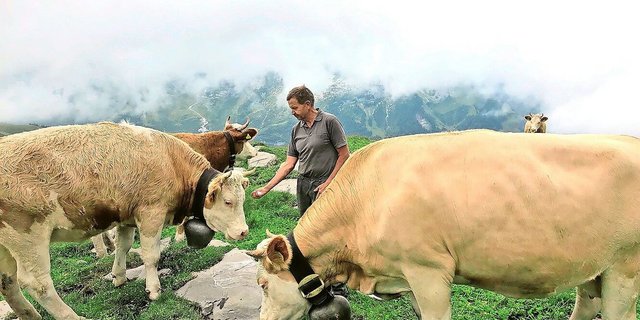 «Jeden Frühling ein Heimkommen»: Erich von Siebenthal auf der Alp.  