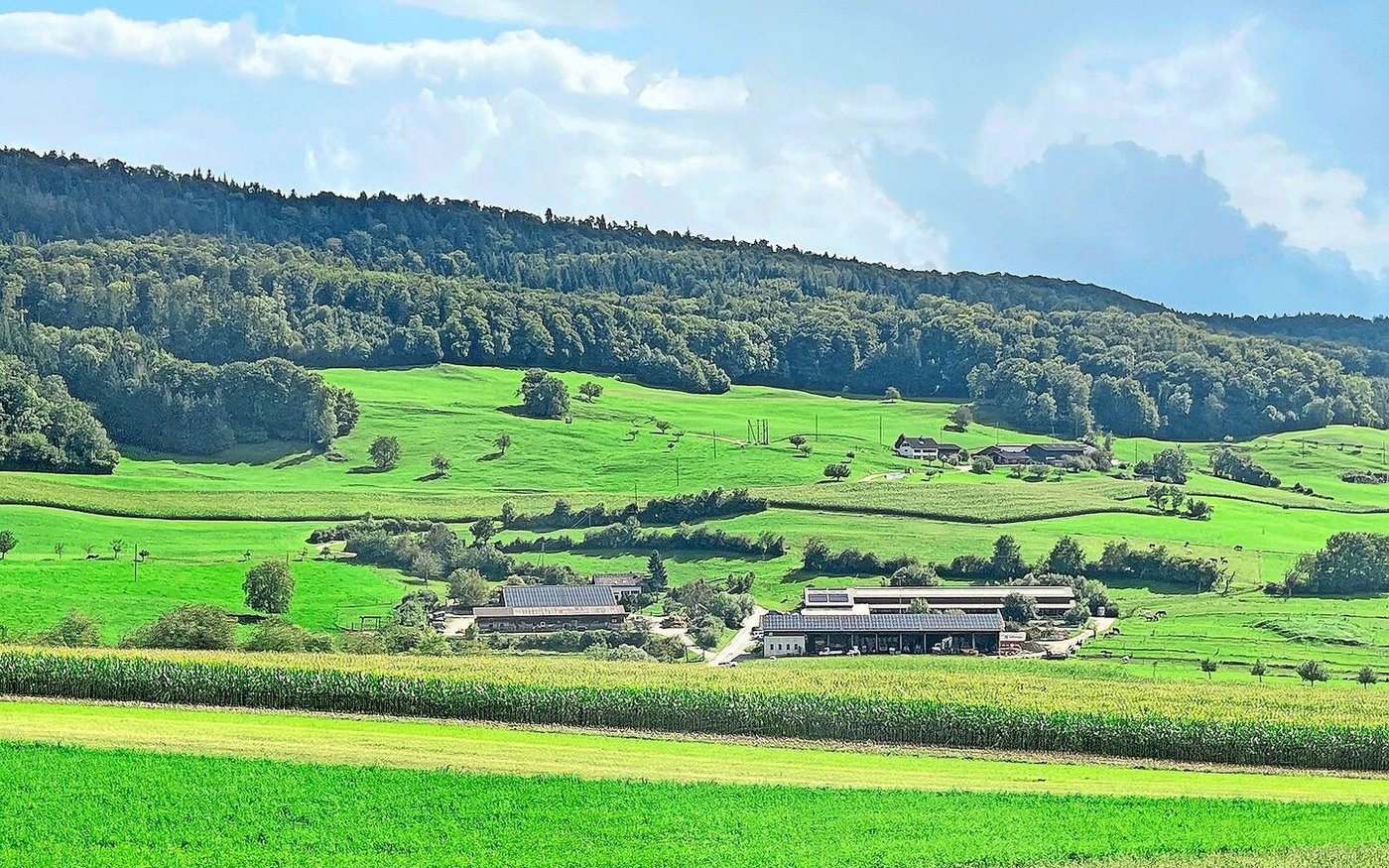 Die 70 ha grosse Stone Ranch auf dem Tafeljura im Kanton Aargau. Hier gibts Lasso-Kurse, Hochzeiten und Ranch-Zmorge.