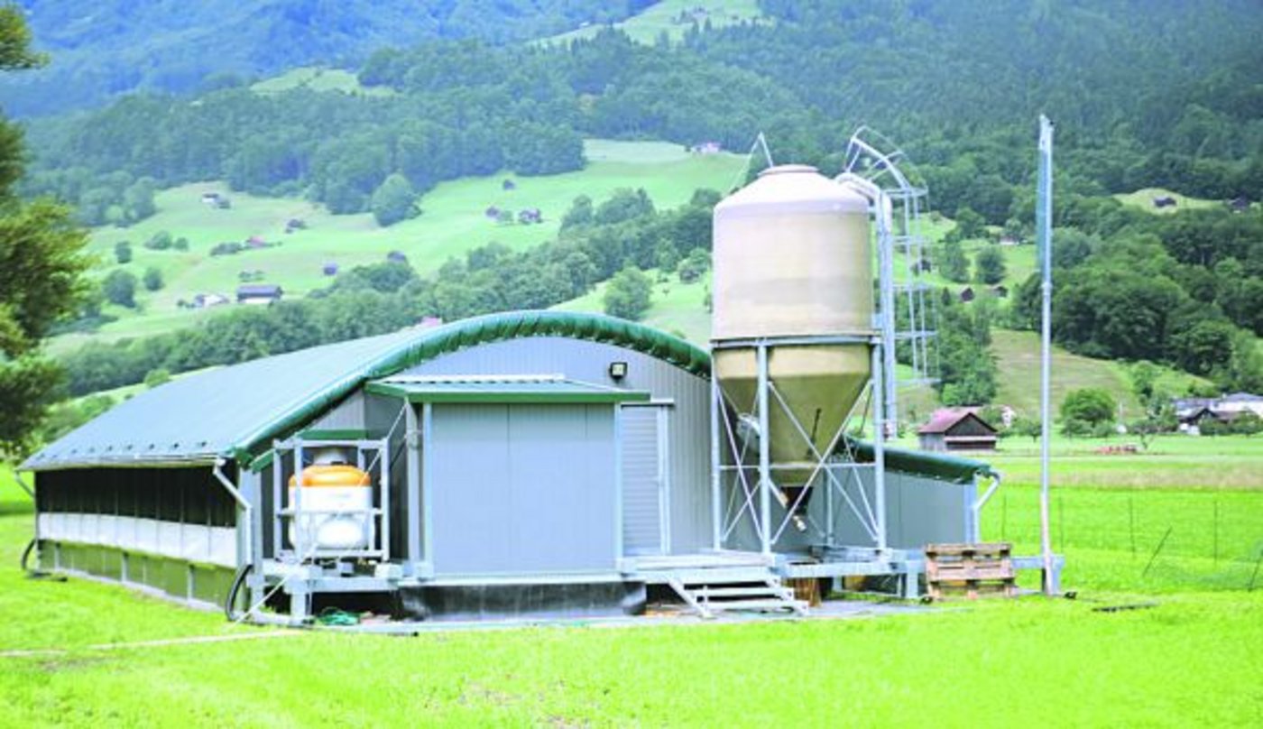 Dieser mobile Hühnerstall mitsamt der Infrastruktur steht auf Kufen und kann nach einem Umschlag mit dem Traktor verschoben werden. 