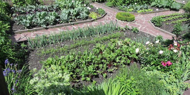 Wenn es nach Nationalrätin Maya Graf geht, dürfen schon bald keine Pestizide mehr im Hobbygarten eingesetzt werden. (Symbolbild et)
