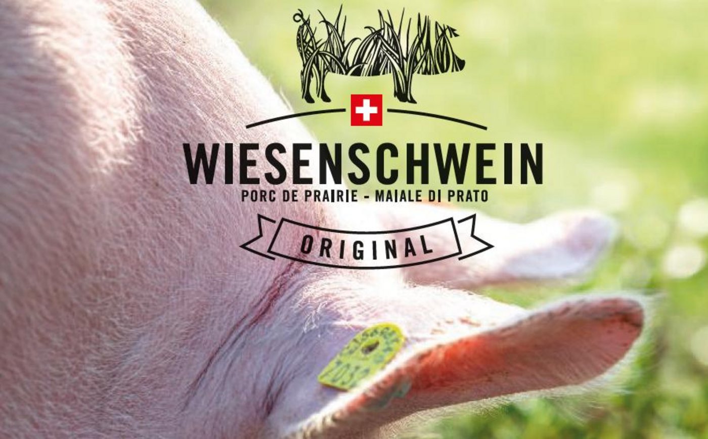 "Wiesenschweine" haben Auslauf und vielfältige Beschäftigungsmöglichkeiten. Oliver Hess hatte einige Hindernisse zu überwinden, auf dem Weg zu einem würdevolleren Schweineleben. (Bild Falzprospekt "Wiesenschweine")