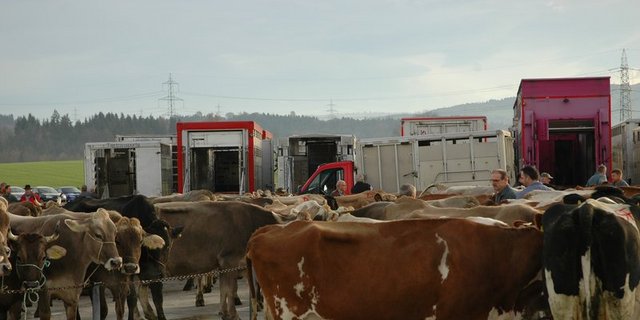 Bis es solche Bilder wieder geben wird, dauert es noch eine Weile. (Bild BauZ)