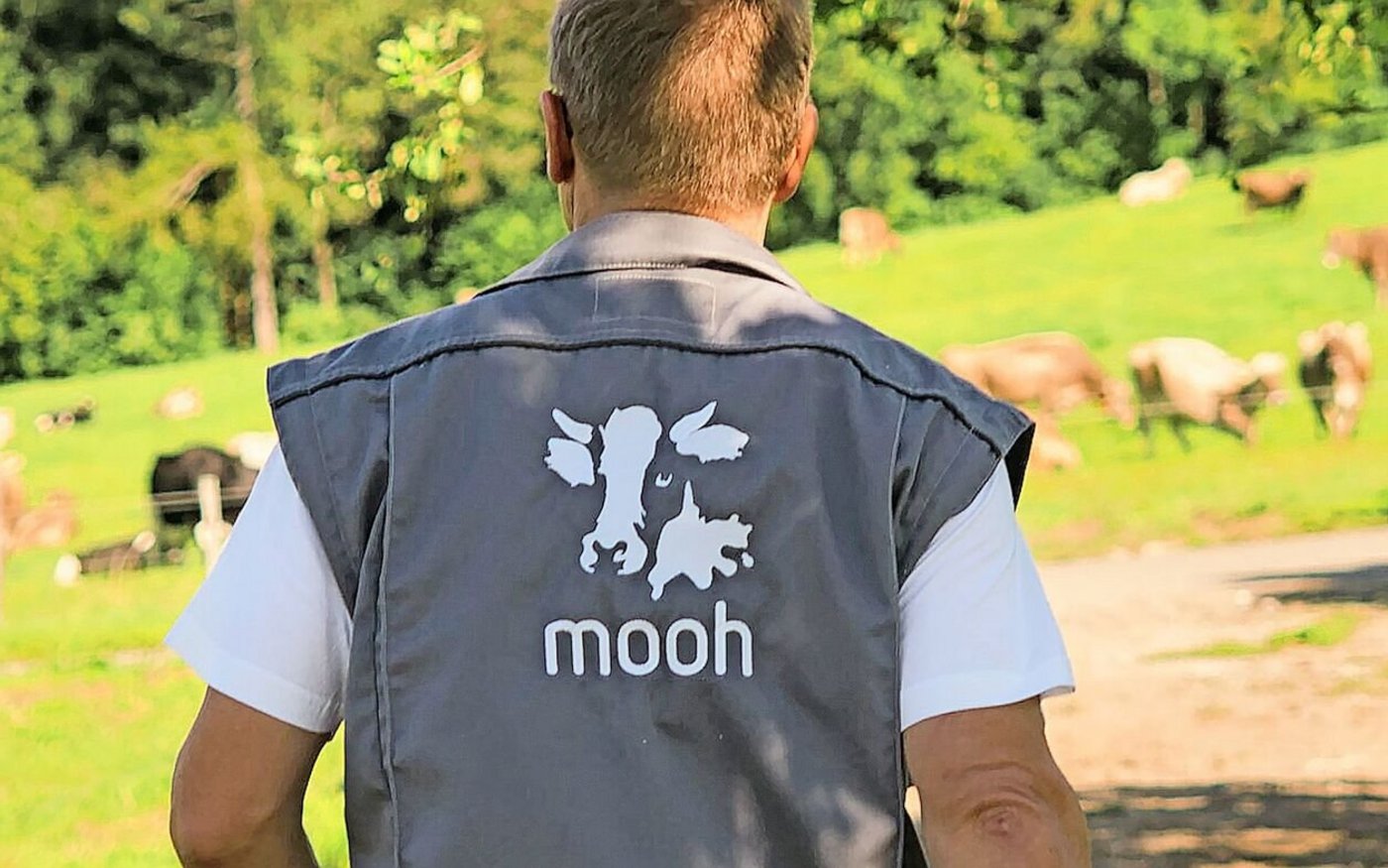 Bei der Milchgenossenschaft Mooh haben nach wie vor die Produzenten das Sagen – nun lernen sie, sich im Exportmarkt zu bewegen.