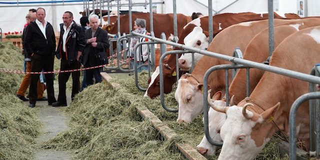 Eindrücke von der BEA Eröffnung... (Bilder mr/lid)