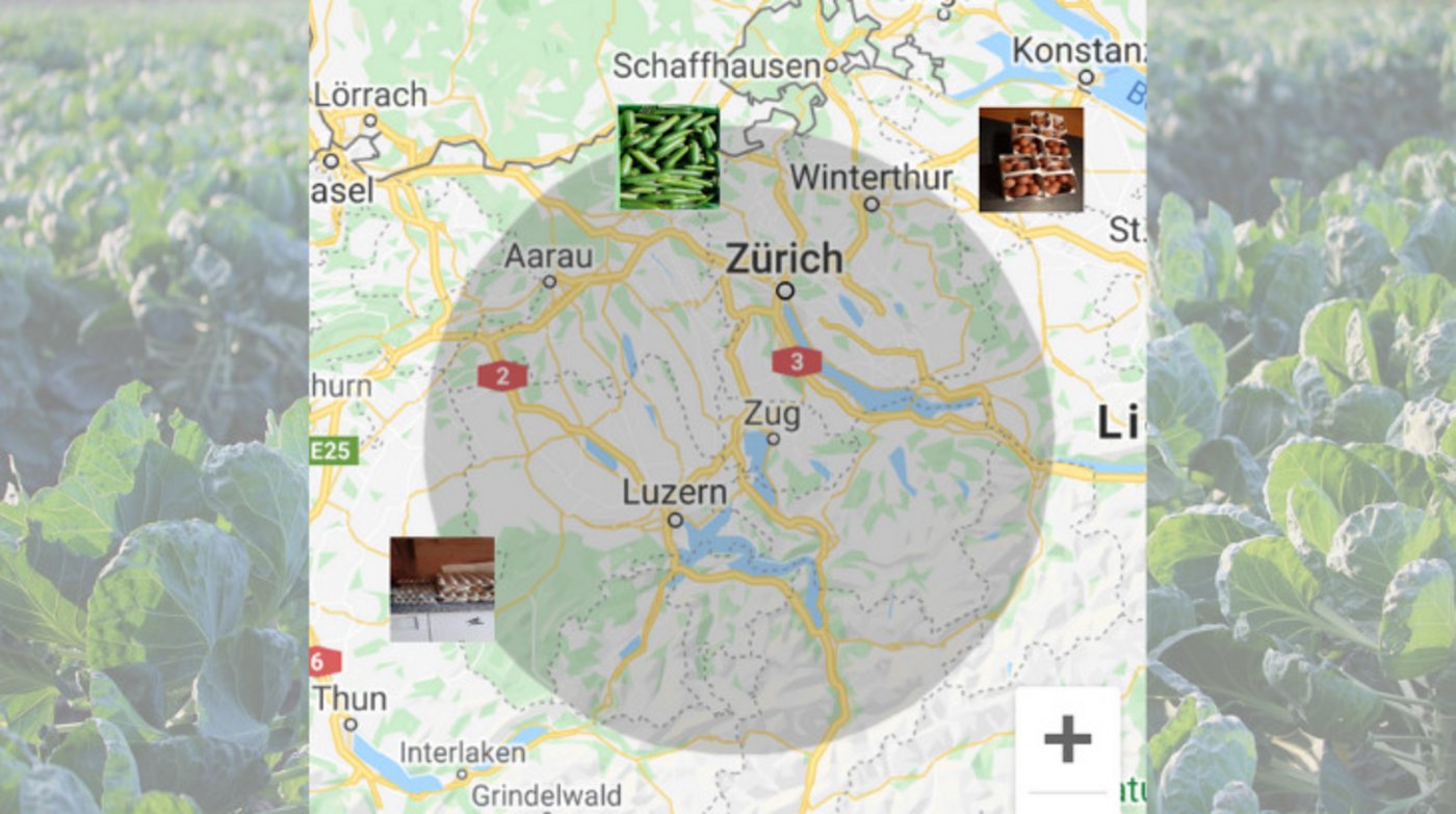 «Croppy» zeigt Angebote zum Retten von Obst und Gemüse in der Umgebung des Benutzers mit allen wichtigen Informationen dazu an. (Bild «Croppy» / Pixabay)