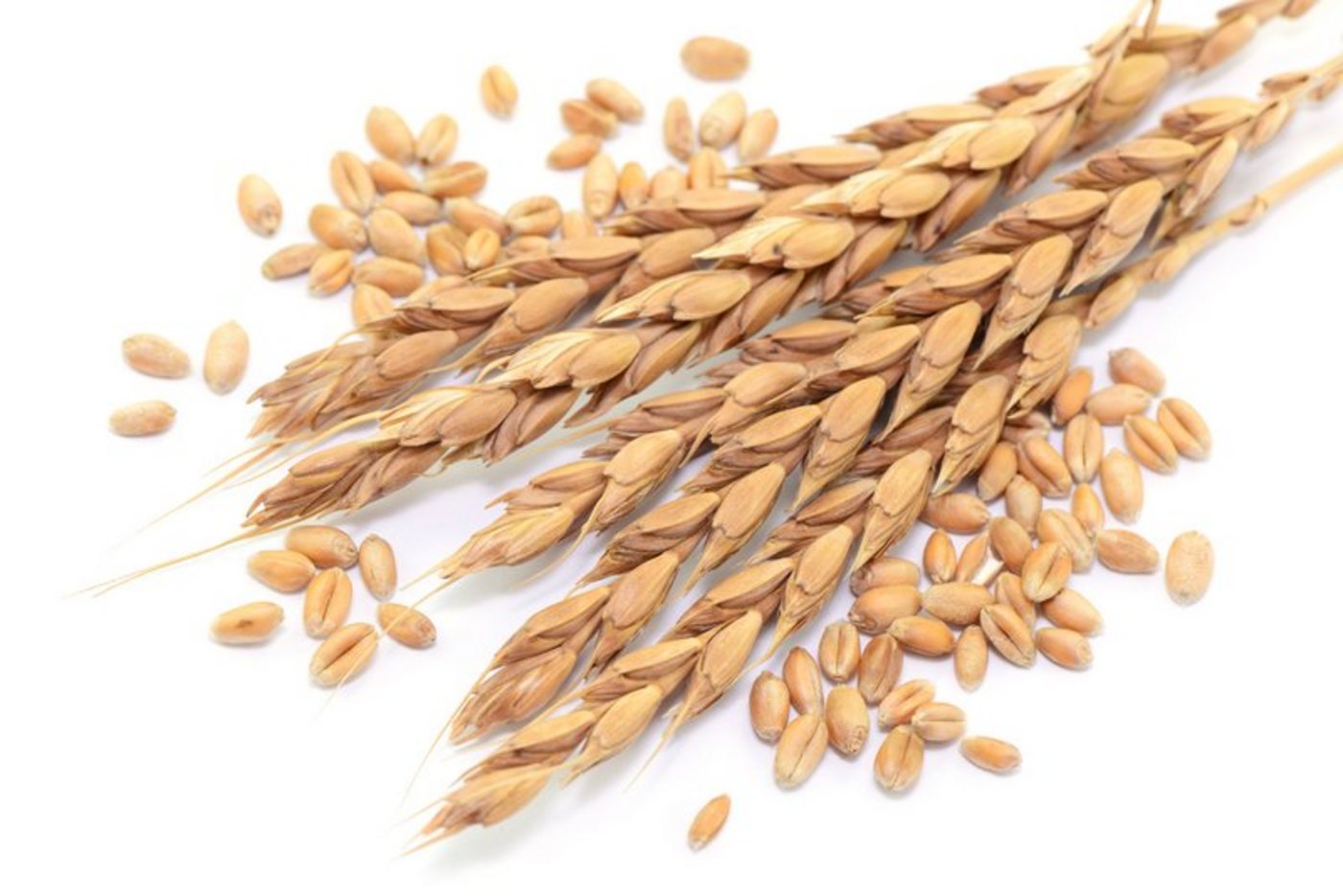 Die Brotgetreide-Ernte fiel leicht tiefer aus, als erwartet. (Bild Fotolia)