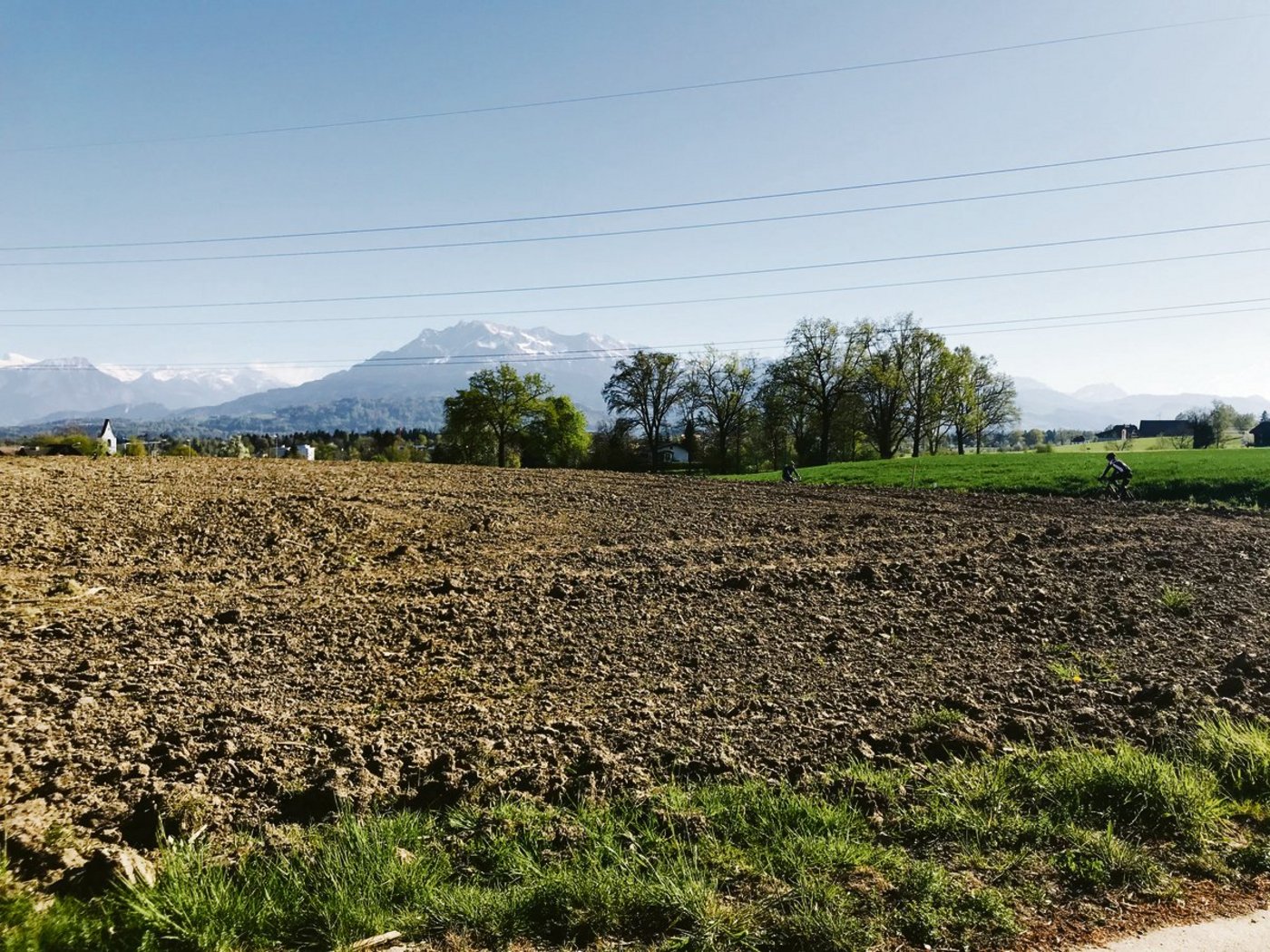 Ob wohl hier am Rand des Ackers auch Sonnenblumen gesät werden? Es wird sich zeigen …(Bild Franziska Jurt)