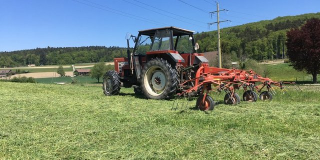 Naturwiesen, Weiden und Kunstwiesen machen den grössten Teil der landwirtschaftlichen Nutzfläche in der Schweiz aus. (Bild BauZ)