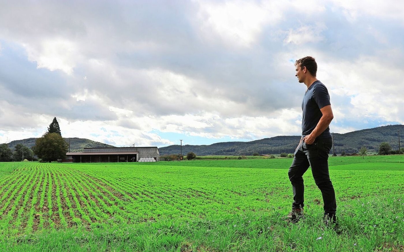 Ein Leinfeld auf dem Tannenhof in Möhlin. Der Markt für Schweizer Lein ist derzeit gesättigt, David Metzger wünscht sich eine Entwicklung im Konsumverhalten. 