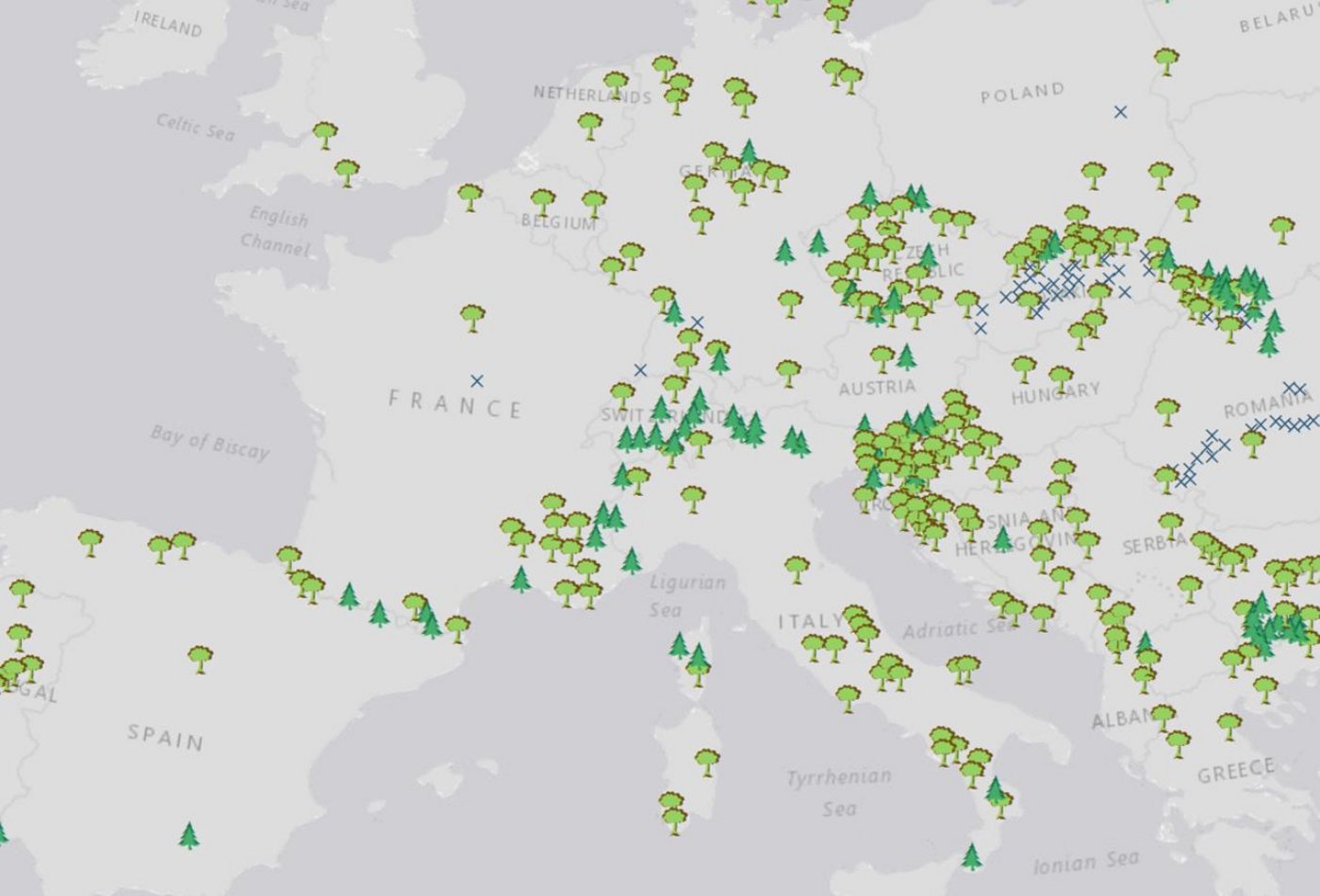 Auszug der Landkarte der letzten Urwälder Europas. 