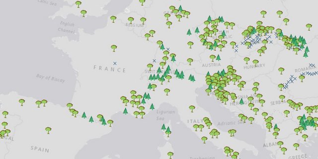 Auszug der Landkarte der letzten Urwälder Europas. 