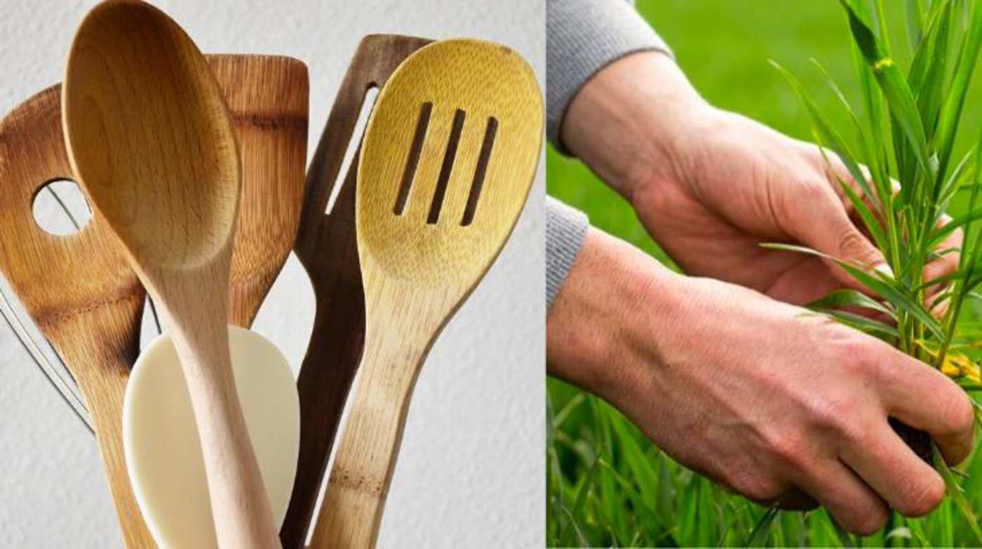 Zugegeben, es ist etwas stereotyp. Schliesslich können auch Landwirte die Landfrauenküche schauen und Bäuerinnen das Landi-Webinar verfolgen. Auswahl gibt es jedenfalls. (Bilder Pixabay/ Landi)